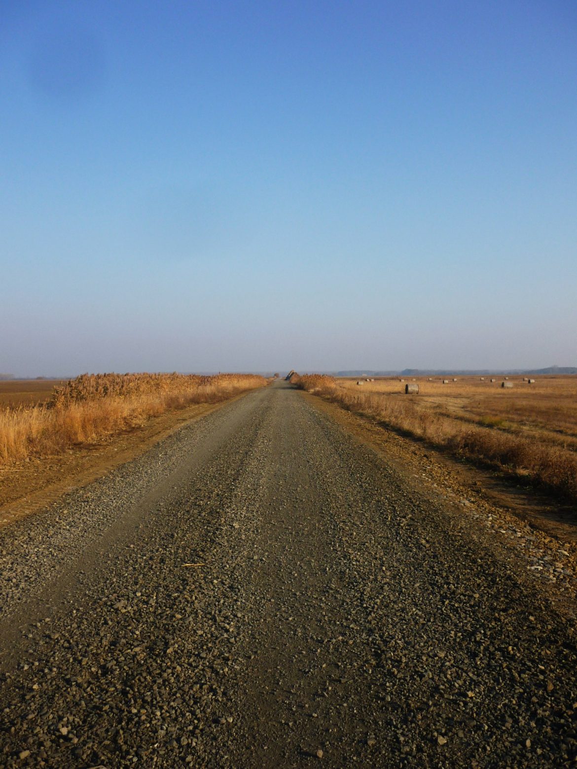 the long and windy road